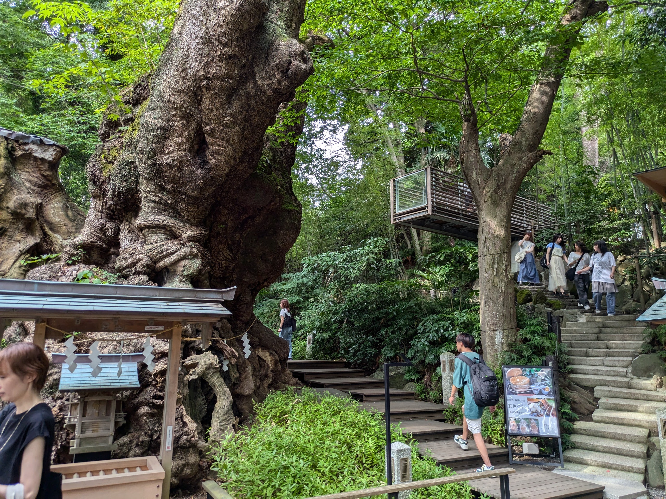 来宮神社