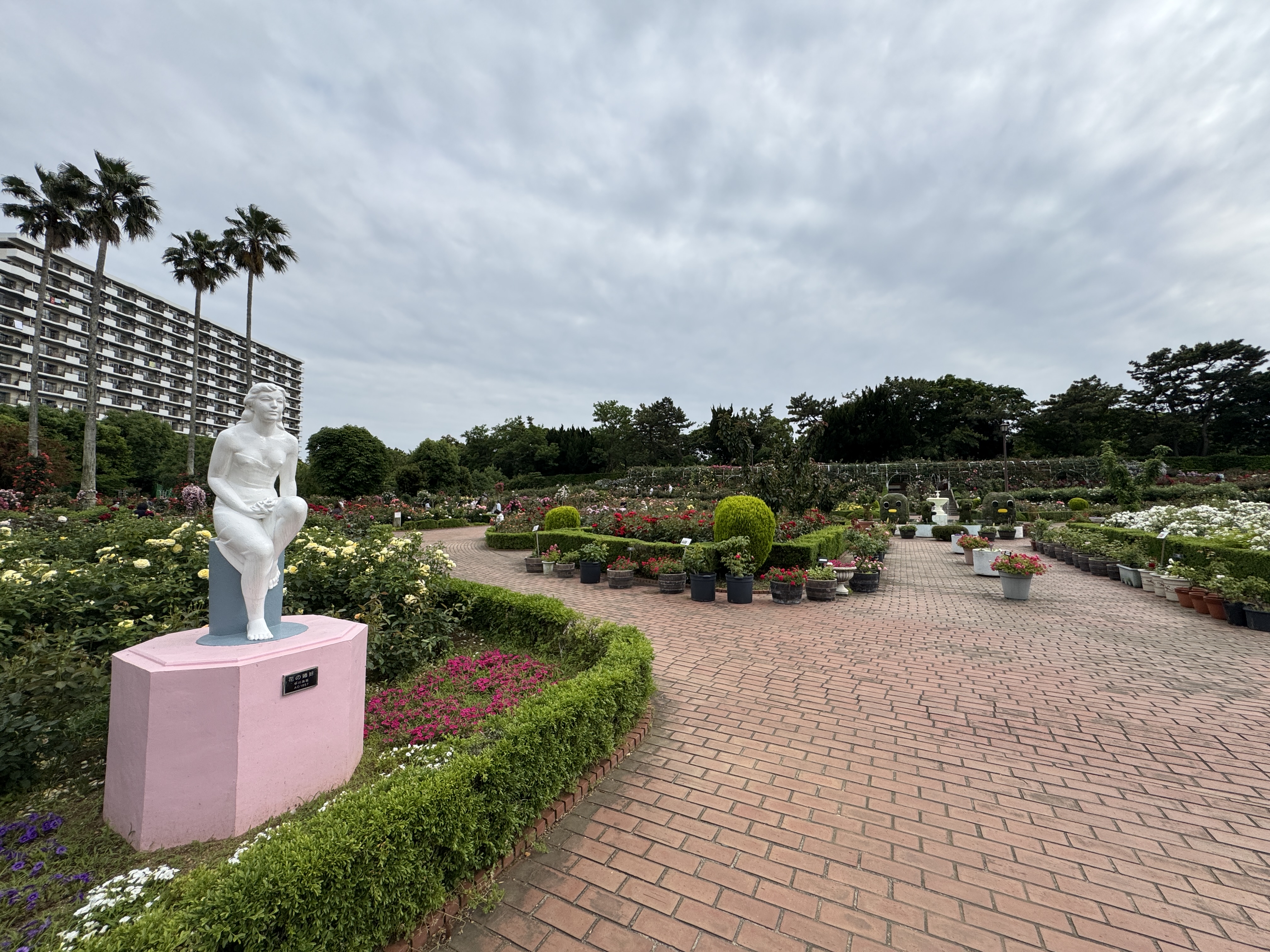 谷津バラ園