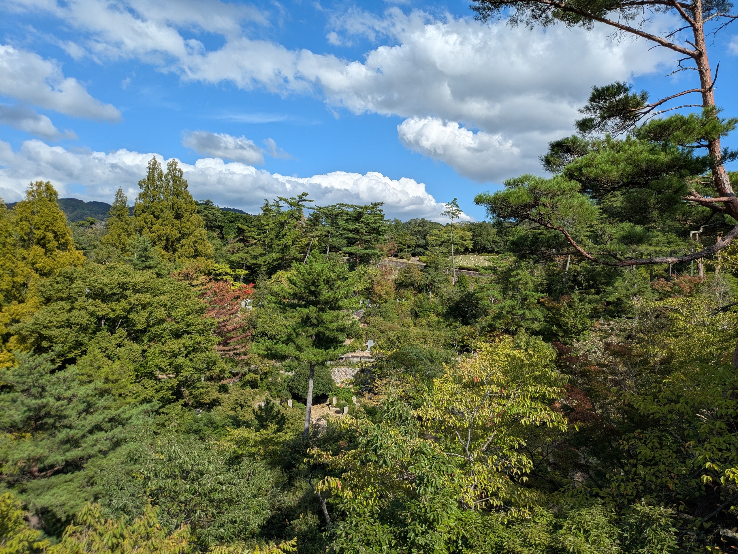 神戸外国人墓地