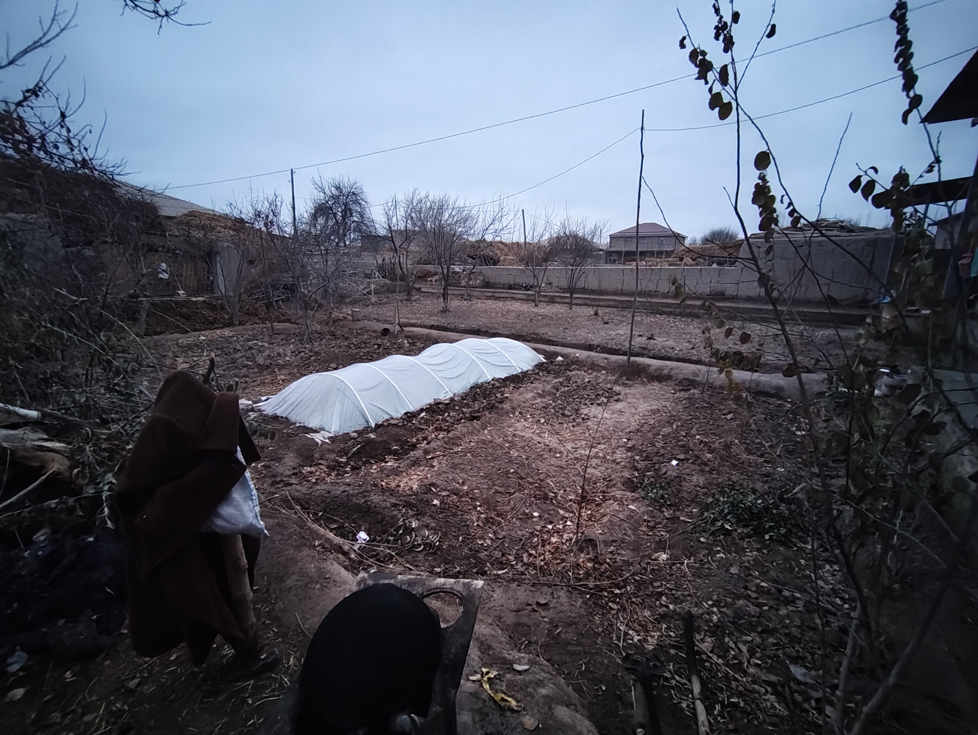 ウズベキスタン